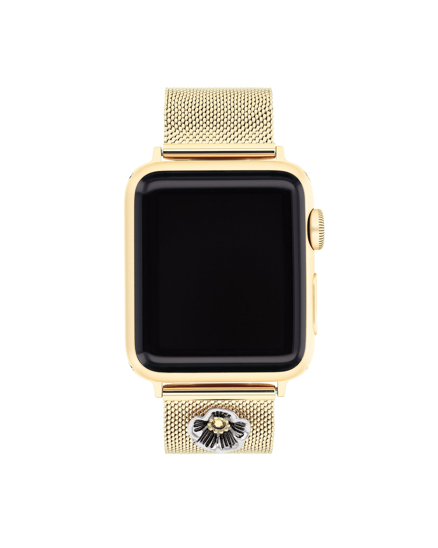 Apple Watch STRAP (38/40/41mm)