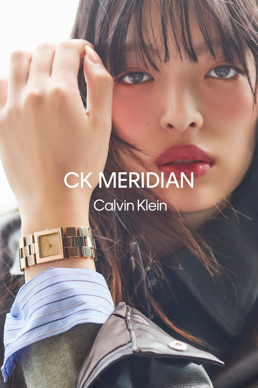 MERIDIAN（メリディアン）